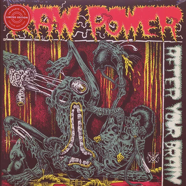 RAW_POWER_After_Your_Brain_Vinyl_LP_in_Australia_Global_Disrupt_Records