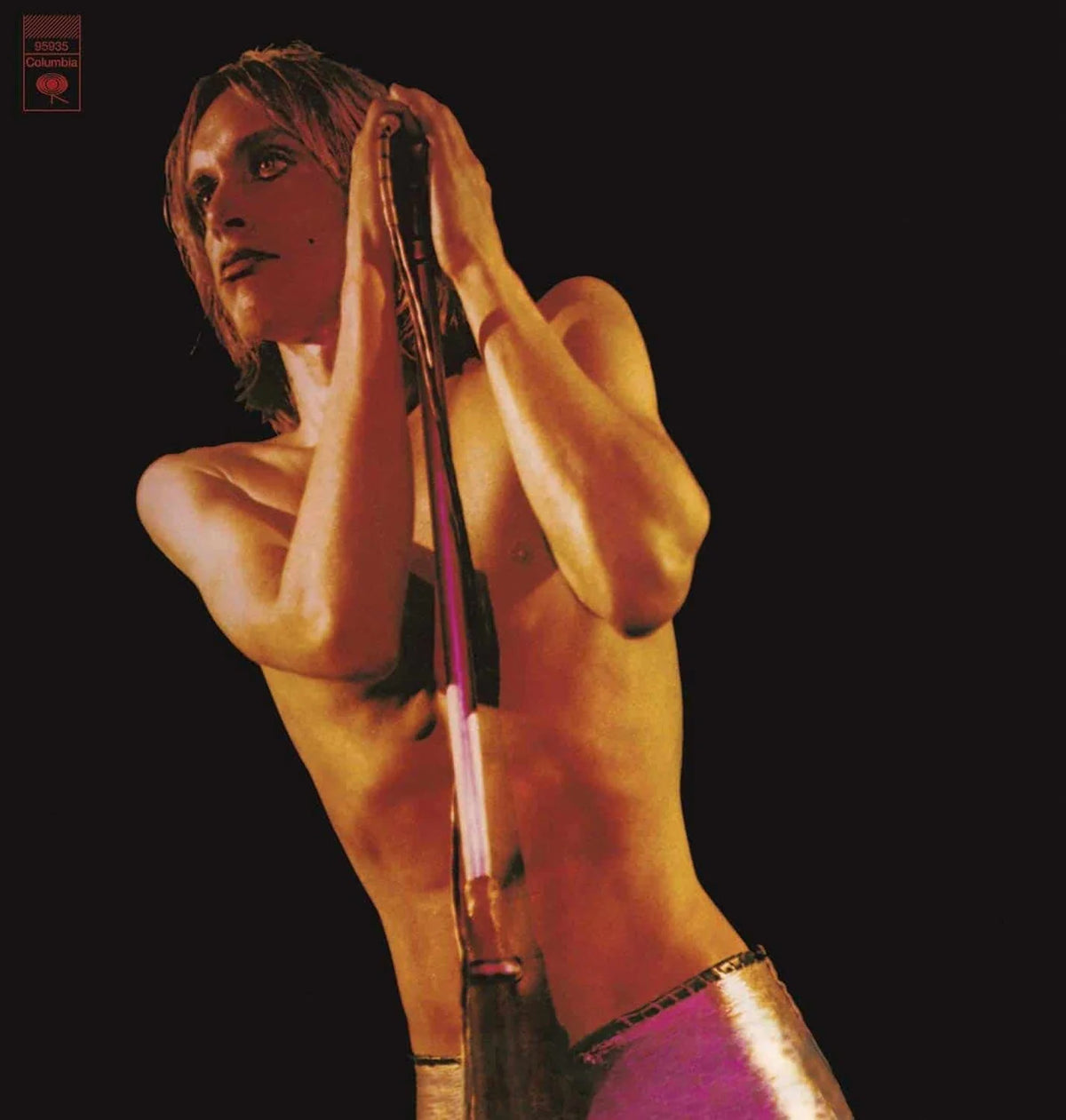 IGGY AND THE STOOGES: Raw Power