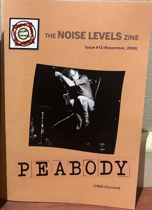 BLITZ BABIEZ: Noise Level Issue 12 Zine