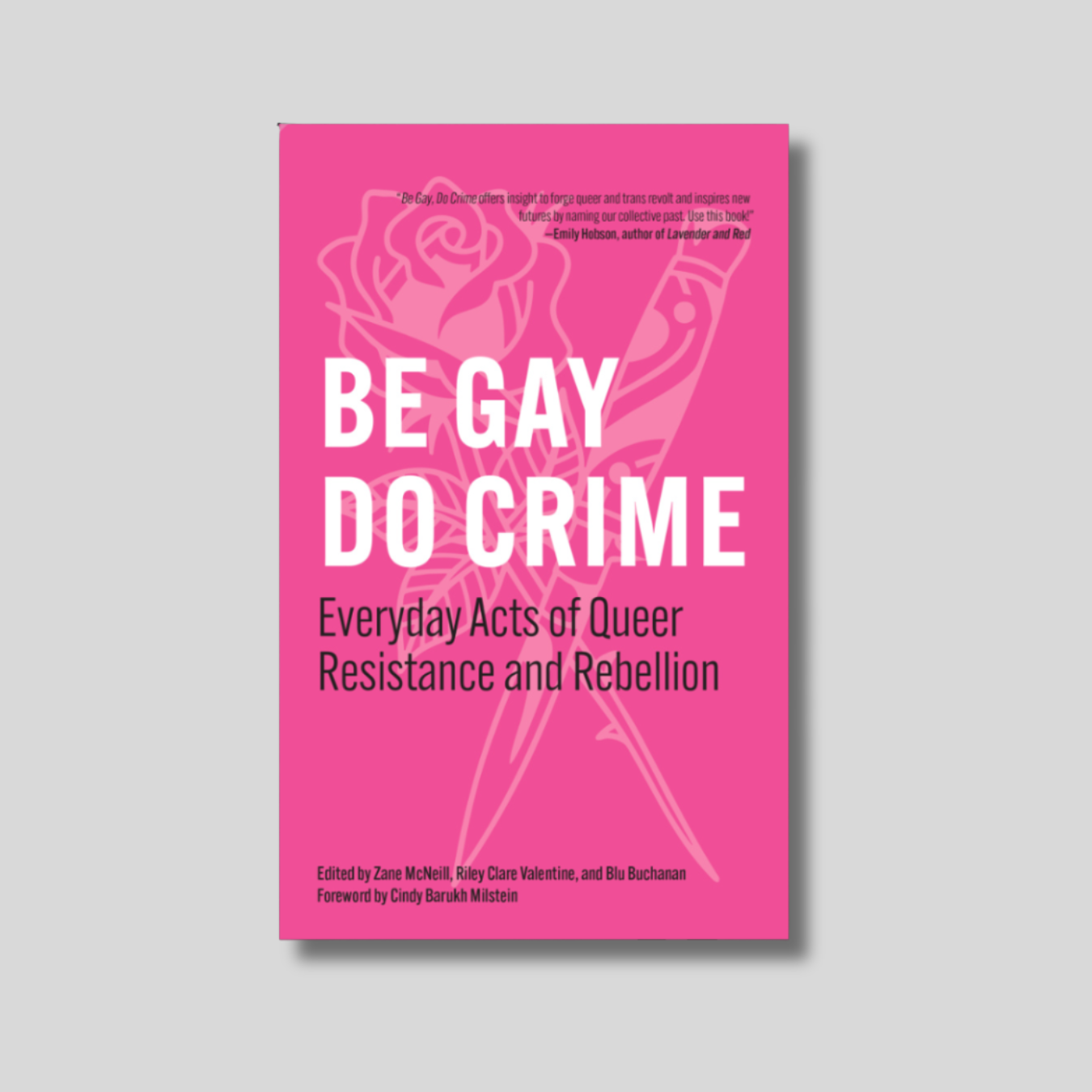 BE GAY, DO CRIME: Everyday Acts of Queer Resistance and Rebellion Book