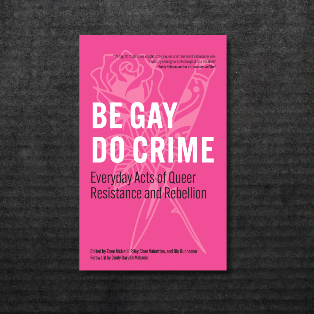 BE_GAY,_DO_CRIME_Everyday_Acts_of_Queer_Resistance_and_Rebellion_Book_Vinyl_Book_AUS_Global_Disrupt