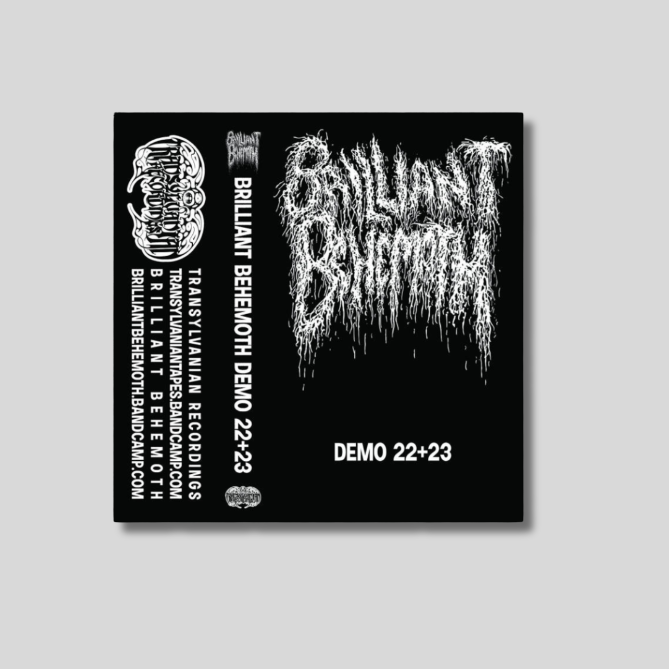 BRILLIANT BEHEMOTH: Demos 22+23 Cassette