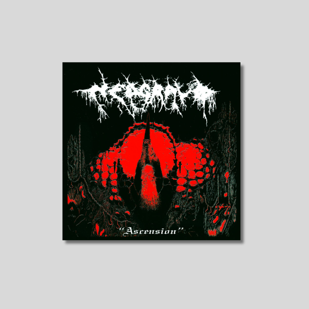 NEDGRAVD: Ascension CD