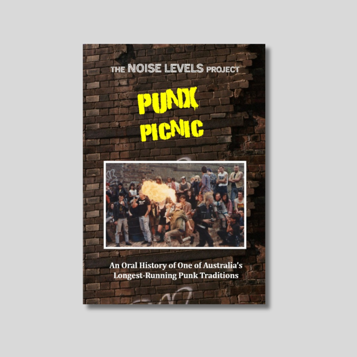 Punx Picnic: An Oral History Book