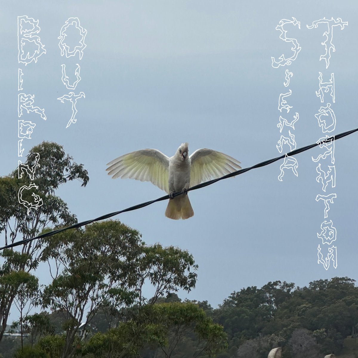 SIENNA_THORNTON_Birding_Out_Vinyl_LP_in_Australia_Global_Disrupt_Records