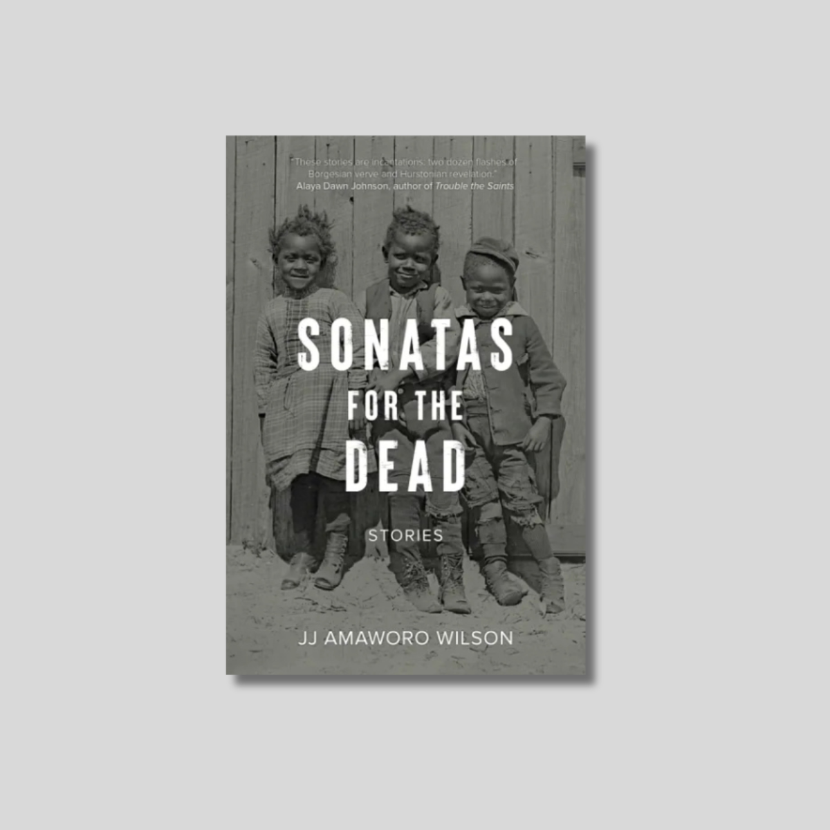 Sonatas for the Dead: Stories Book