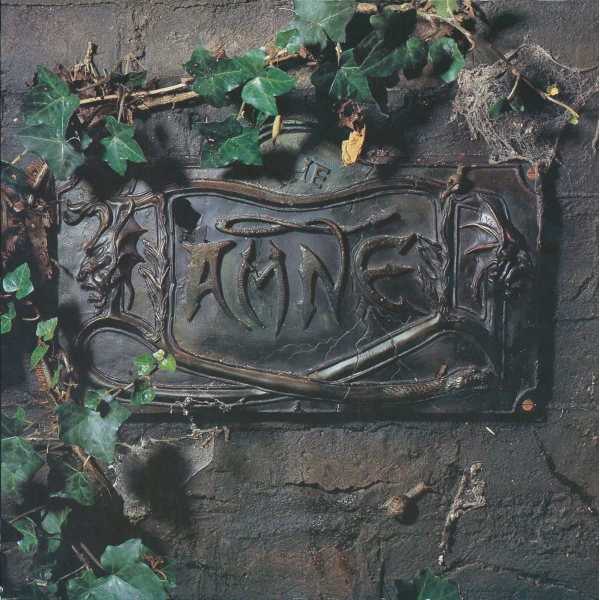 THE DAMNED: The Black Album Vinyl 2LP (180g)
