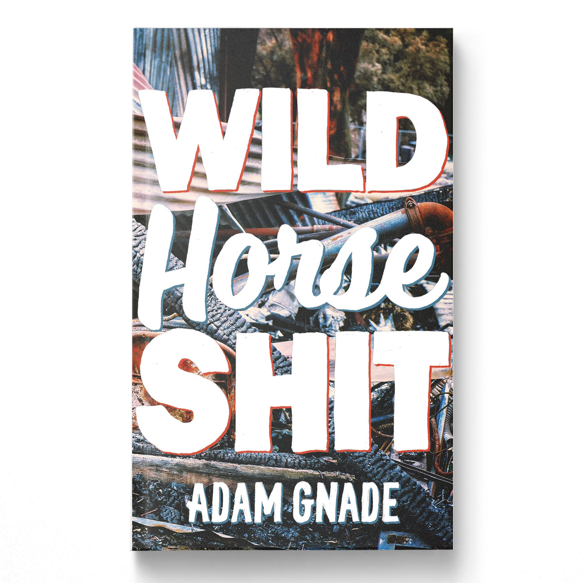 Wild Horse Shit by Adam Gnade