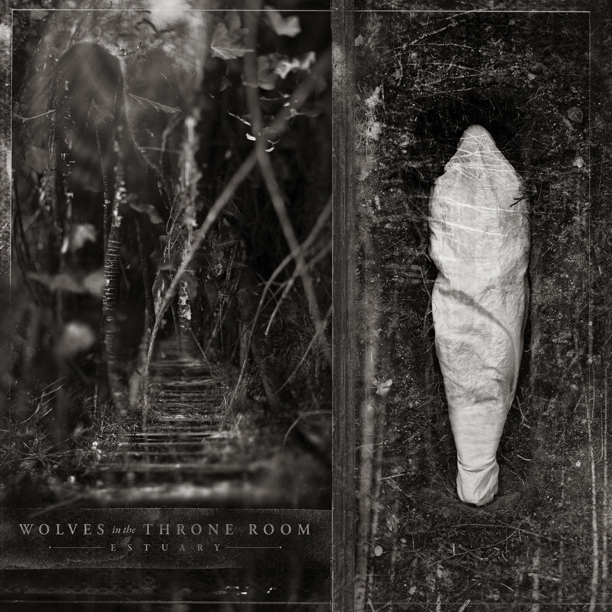 Wolves in the Throne Room - Estuary