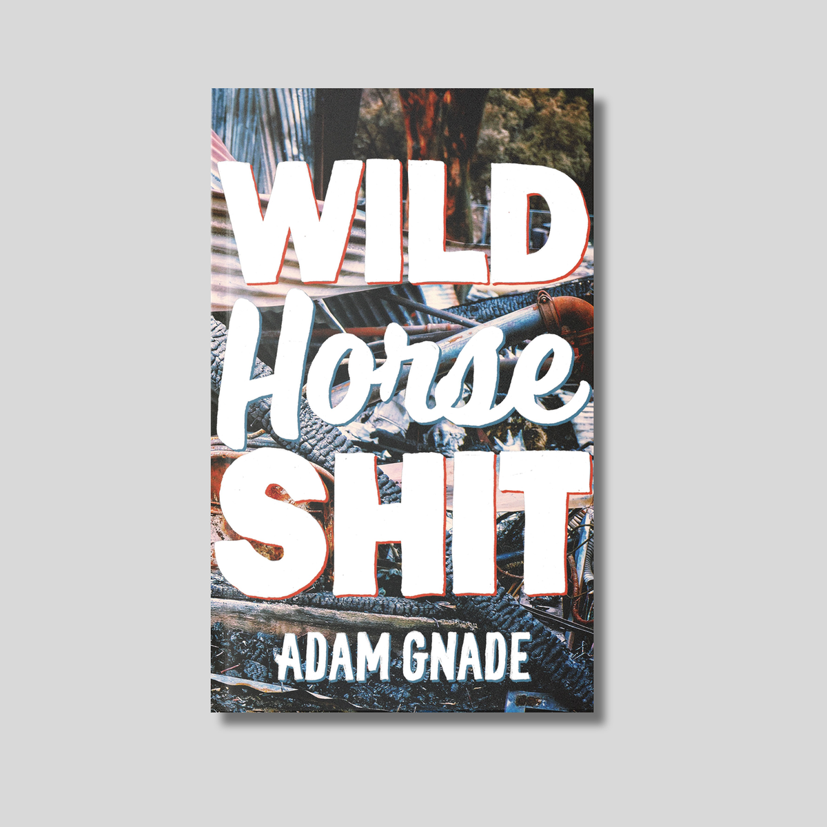 ADAM GNADE: Wild Horse Shit