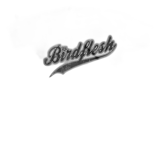BIRDFLESH: Baseball T-shirt