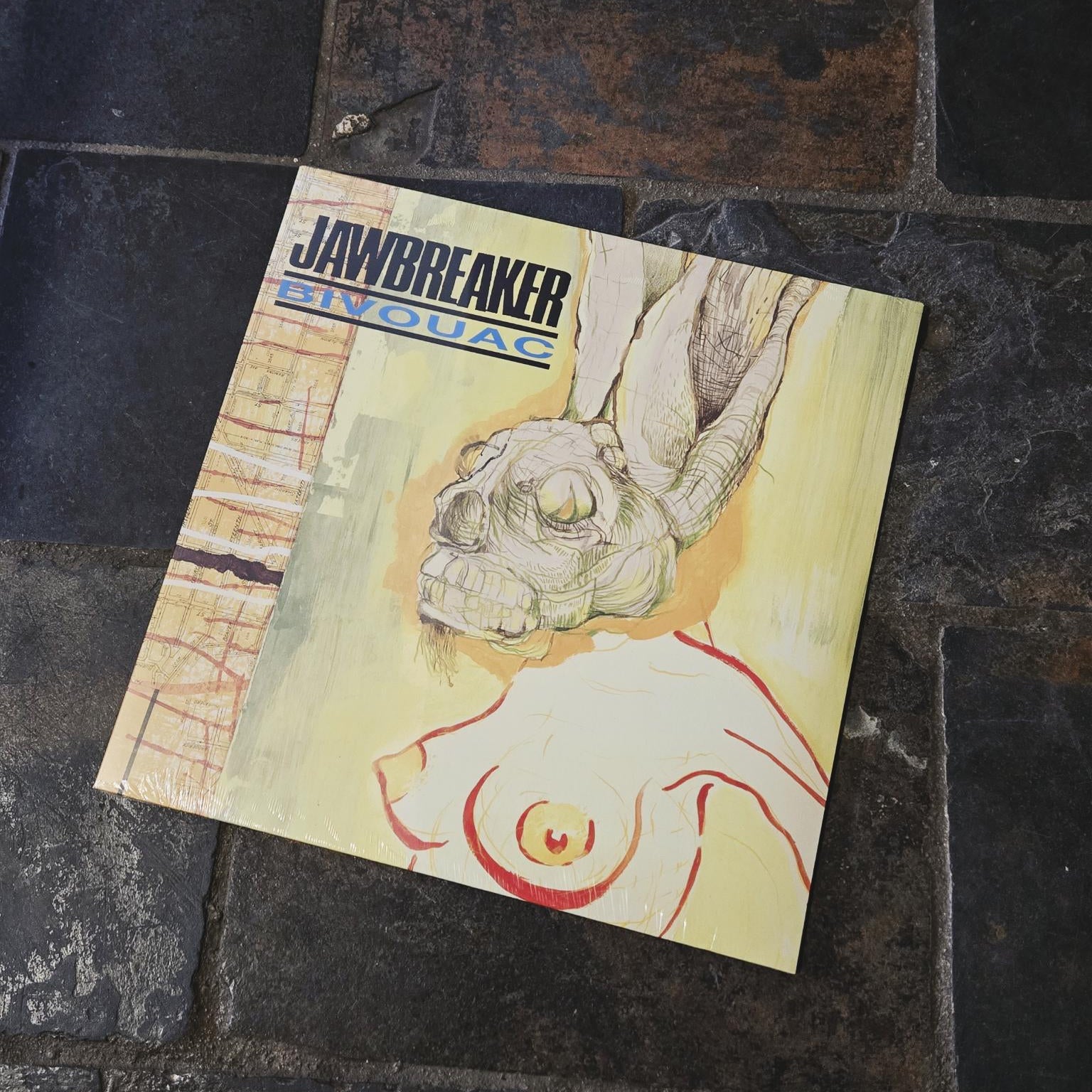 A square album or book cover titled 'JAWBREAKER' and 'BIVOUAC' lies on a dark stone tile surface. The cover features a surreal illustration with a skull-like face and abstract red line art on a pale yellow background.