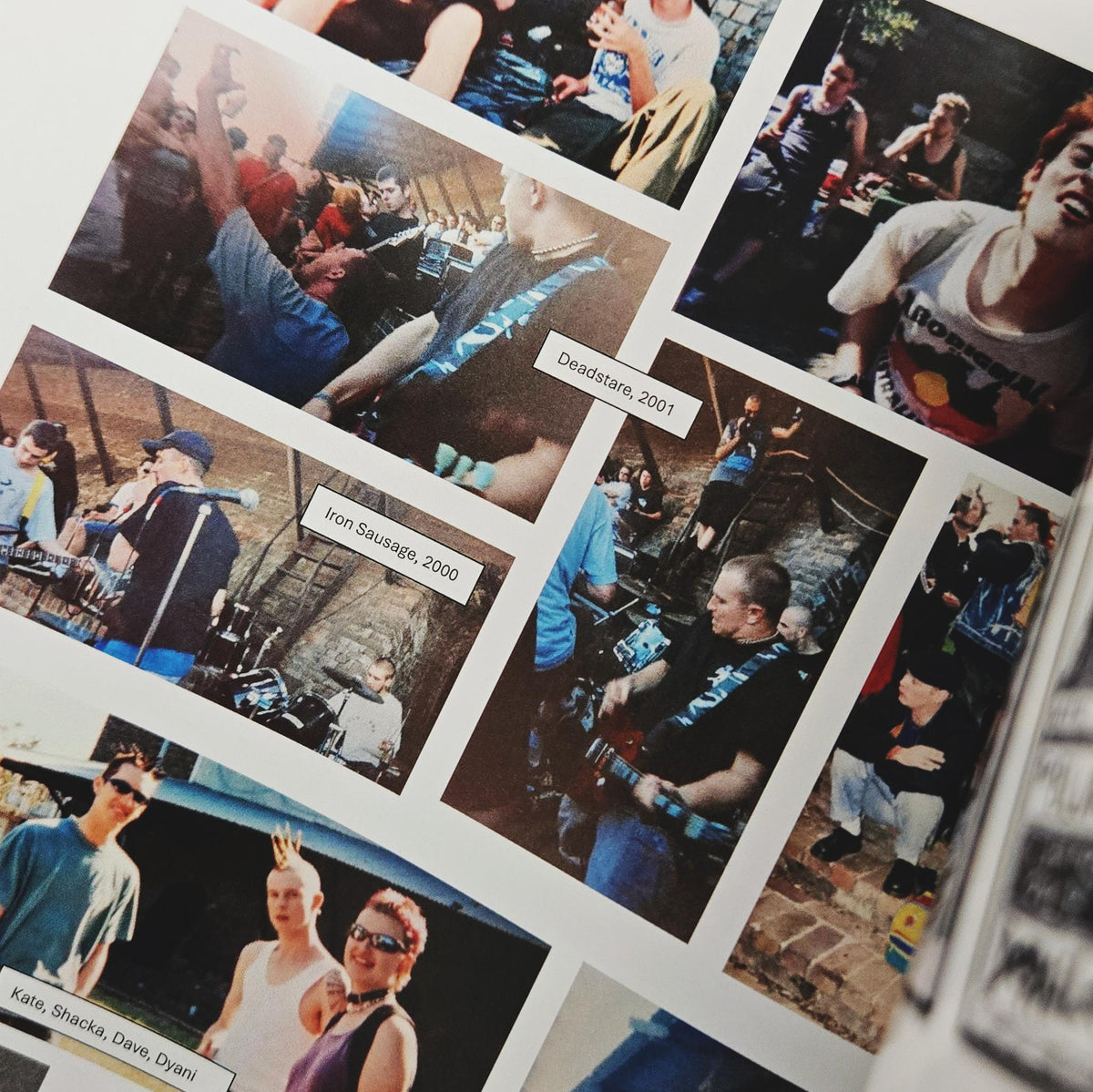 Punx Picnic: An Oral History Book