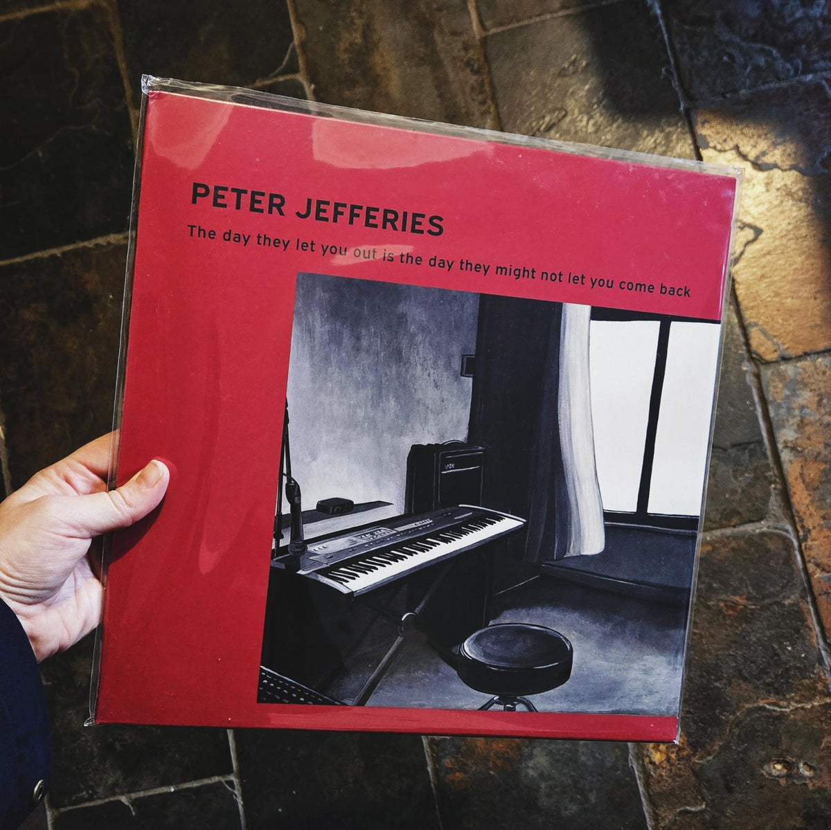 PETER JEFFERIES: The Day They Let You Out Is The Day They Might Not Let You Come Back Vinyl LP
